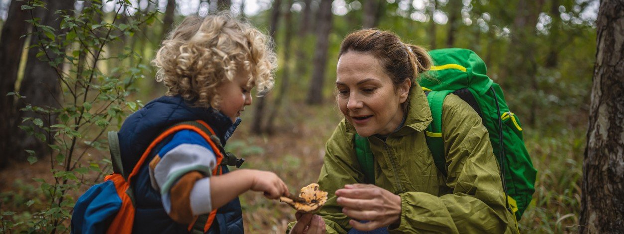 Mutter ist mit Sohn im Wald Pilze sammeln.