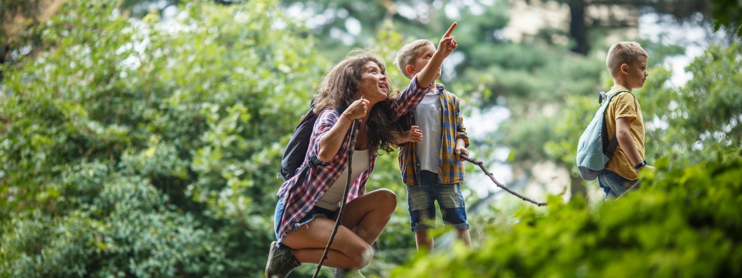 Mutter mit Kindern wandert im Wald