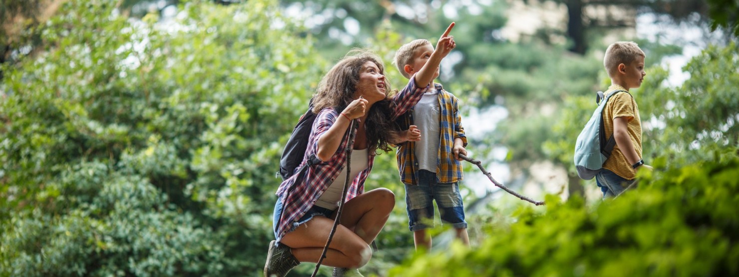 Mutter mit Kindern wandert im Wald