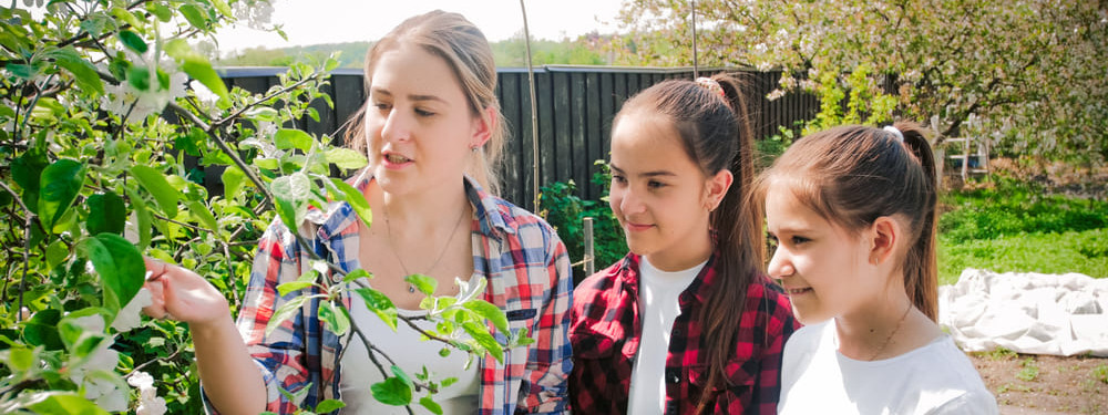 Eine Lehrerin zeigt zwei Schülerinnen einen Obstbaum im Schulgarten