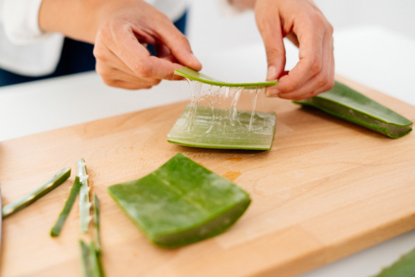 Aus einer aufgeschnittenen Aloe vera tritt Gel aus.