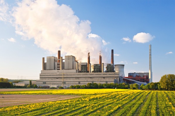 Braunkohlekraftwerk am Rand eines blühenden Feldes. Die Sonne scheint.