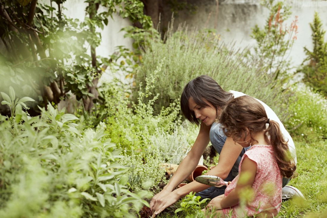 Eine Mutter pflanzt mit ihrer Tochter im Garten pflanzen ein.