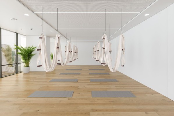 Blick in ein Aerial-Yoga Studio mit Hängematten, Yogamatten und Topfpflanze. 