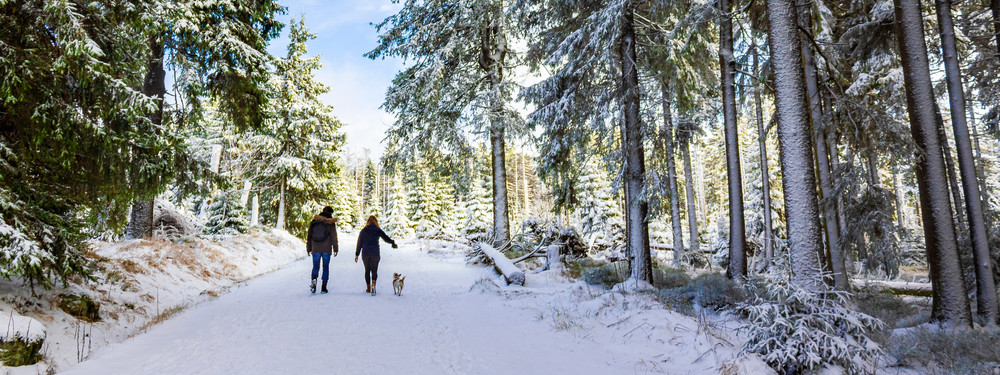 Paar geht mit Hund im verschneiten Wal im Harz spazieren