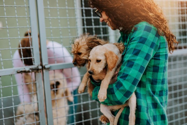 Eine etwa 25 jährige Frau trägt zwei Hundewelpen und steht vor einem Hundezwinger in einem Tierheim. In dem Zwinger befindet sich eine weitere Frau und ein größerer Hund.