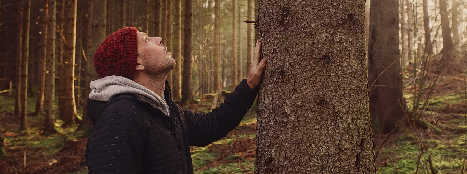Mann, etwa Anfang 30, berührt Baumstamm und schaut im sonnengfluteten Wald in die Wipfel. - AOK Sachsen-Anhalt begleitet mit starken Leistungen.