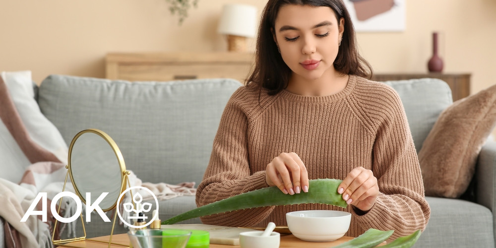Aloe vera  Heilpflanze aus der Wste | AOK Sachsen-Anhalt