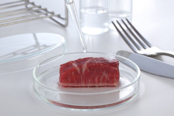 Ein Stück In-vitro-Fleisch in einer Petrischale
