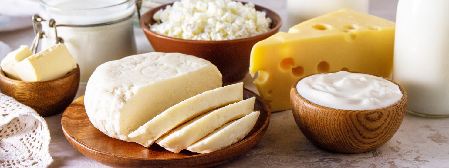 Verschiedene Milchprodukte wie Käse, Quark und Milch stehen auf einem Tisch.