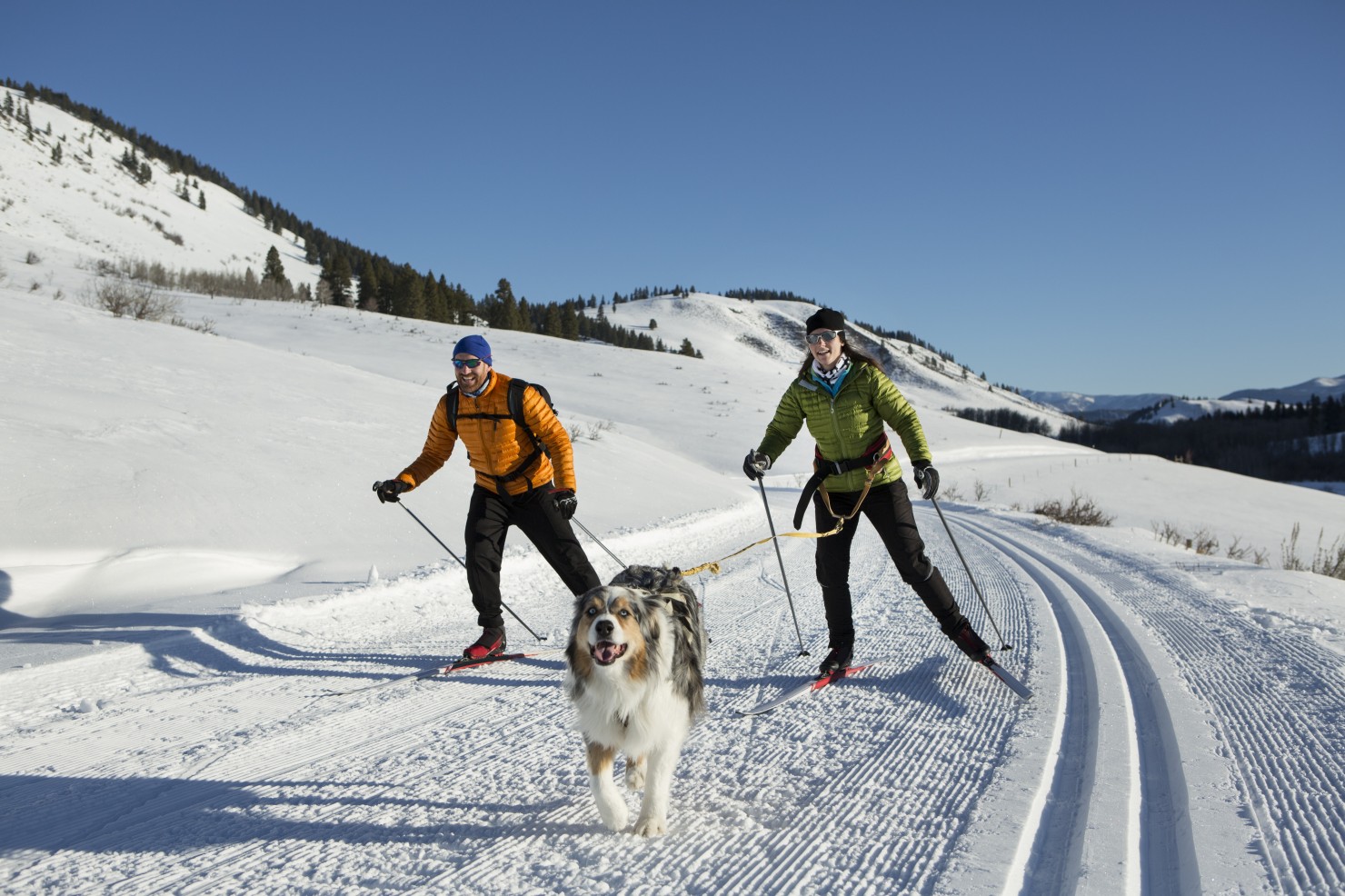 Zwei Skilangläufer, ein Mann und eine Frau, im Wald