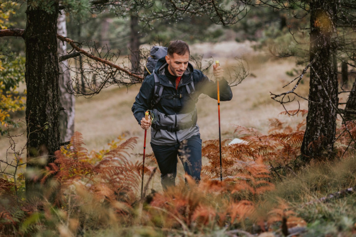 Mann, etwa Ende 30, wandert kraftvoll durch Herbstwald. - AOK Sachsen-Anhalt bietet großzügige Zuschüsse für ganzheitliche Gesundheit durch Osteopathie.