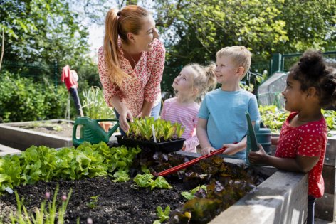 Kinder lernen beim AOK-Schulgartenprojekt viel über gesundes Essen