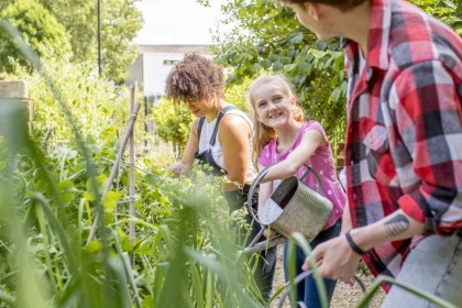 Ein etwa 8 jähriges Mädchen steht gemeinsam mit zwei Erwachsenen in einen Schulgarten und pflegt die Gemüsepflanzen.
