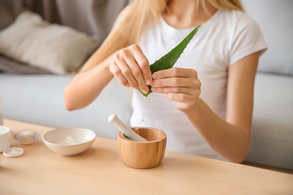 Aloe vera  Heilpflanze aus der Wste | AOK Sachsen-Anhalt