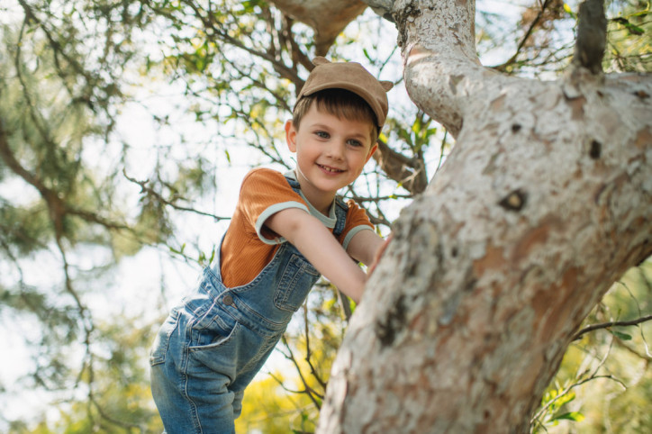 Ein kleiner Junge klettert auf einem Baum
