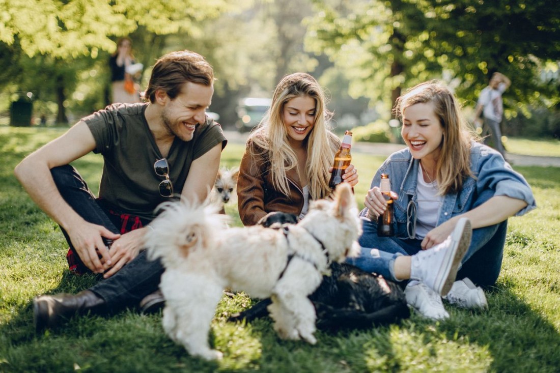 Eine Gruppe von drei Personen sitzt gemeinsam mit zwei Hunden auf der Wiese in einem Park.