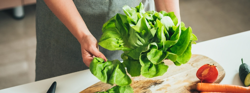 Hände waschen und zupfen einen Salat und bereiten ihn zum essen vor.