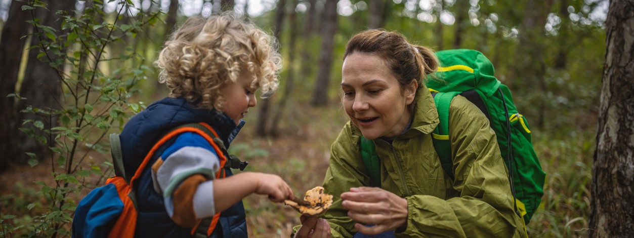Mutter ist mit Sohn im Wald Pilze sammeln.
