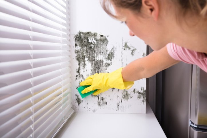 Eine Frau entfernet Schimmel am Fenster in ihrer Wohnung