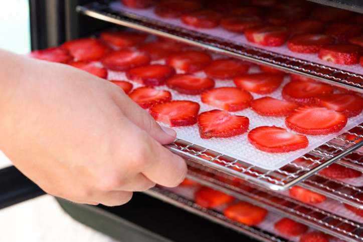Erdbeeren werden zum Dörren in den Backofen geschoeben