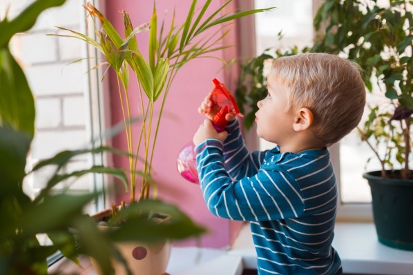 Ein etwa zwei jähriger Sohn besprüht mit einer roten Sprühflasche eine Zimmerpflanze.