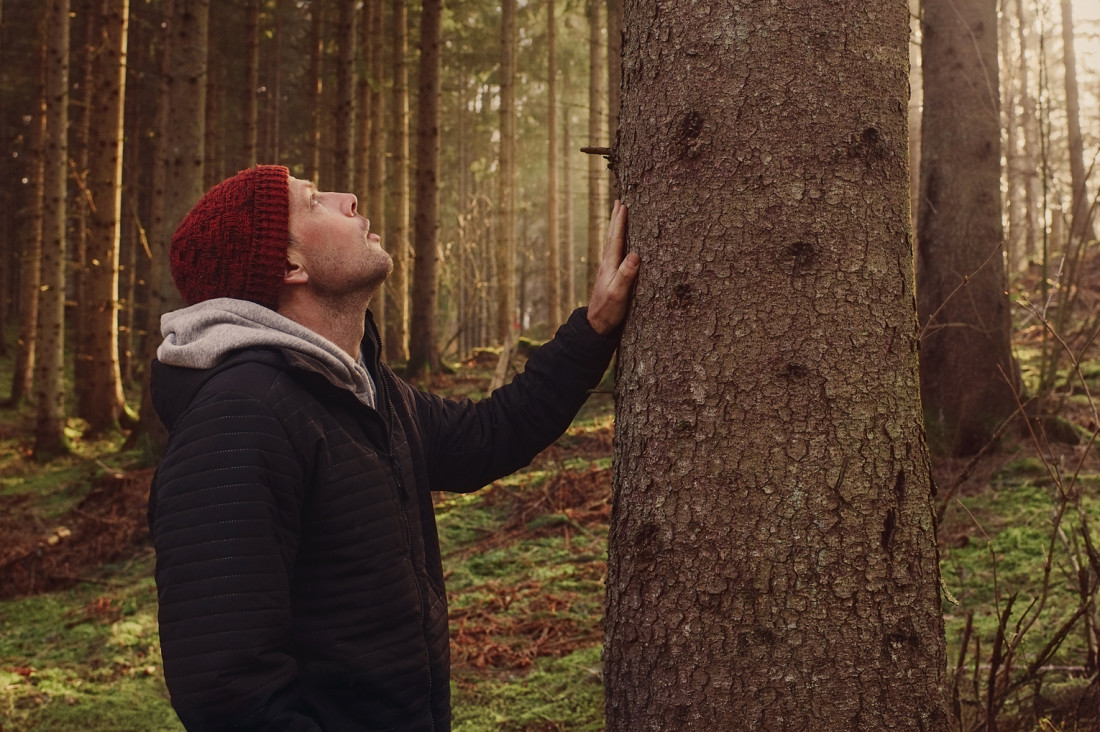 Mann, etwa Anfang 30, berührt Baumstamm und schaut im sonnengfluteten Wald in die Wipfel. - AOK Sachsen-Anhalt begleitet mit starken Leistungen.