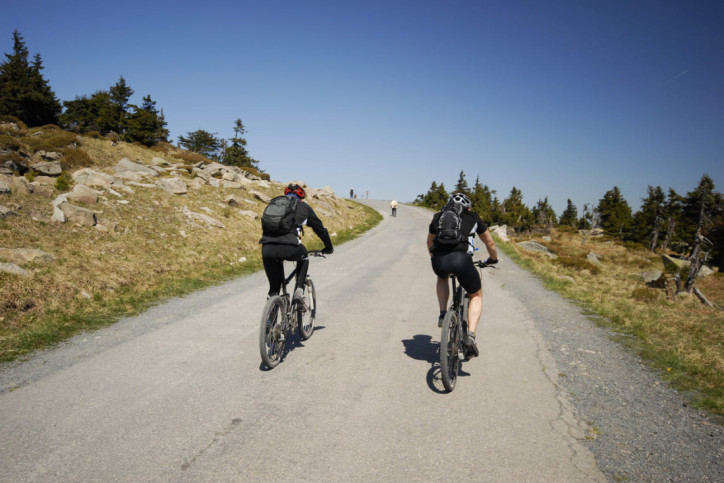 Zwei Mountainbiker sind im Harz unterwegs