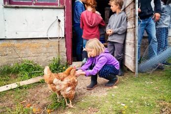 Kind füttert Huhn und ist umgeben von weiteren Kindern auf einem Bauernhof