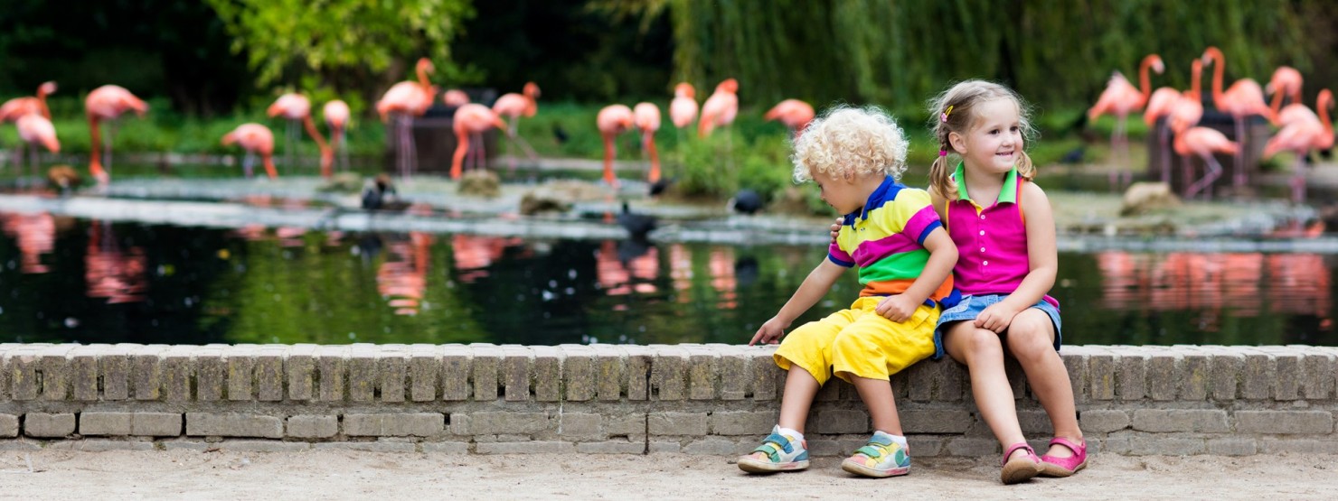 2 Kinder im Zoo