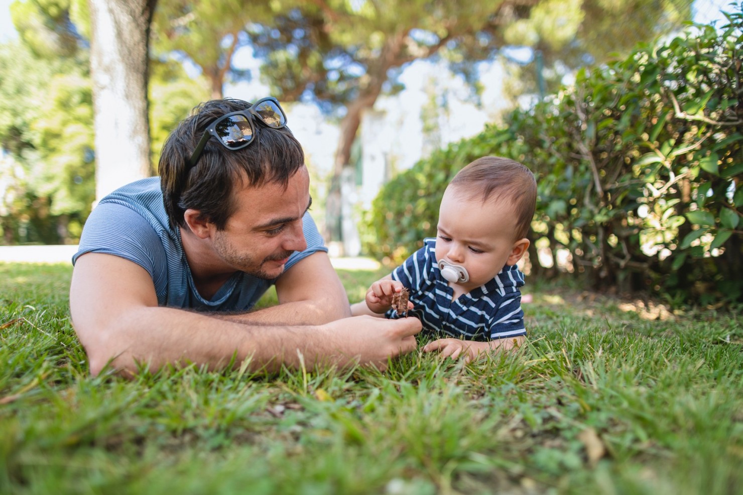Kleiner Junge liegt mit seinem Vater auf der Wiese im Park. Der Vater zeigt ihm ein trockenes Blatt.