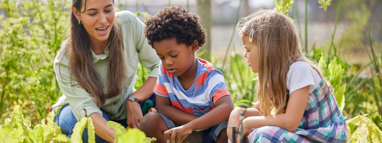 Zwei Grundschulkinder pflanzen beim Schulgartenprojekt gemeinsam mit einer Frau Gemüse an.