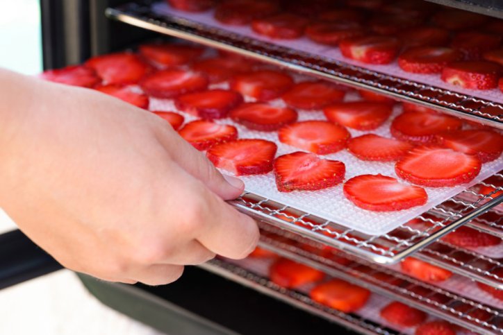 Erdbeeren werden zum Dörren in den Backofen geschoeben