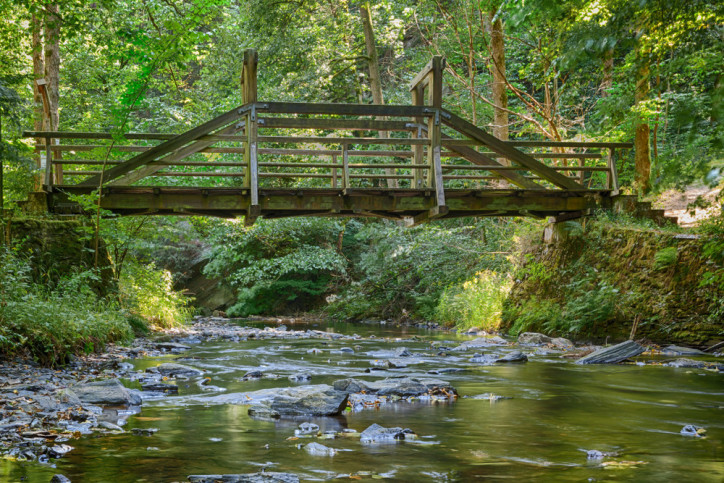 Brücke über Bach im Selketal