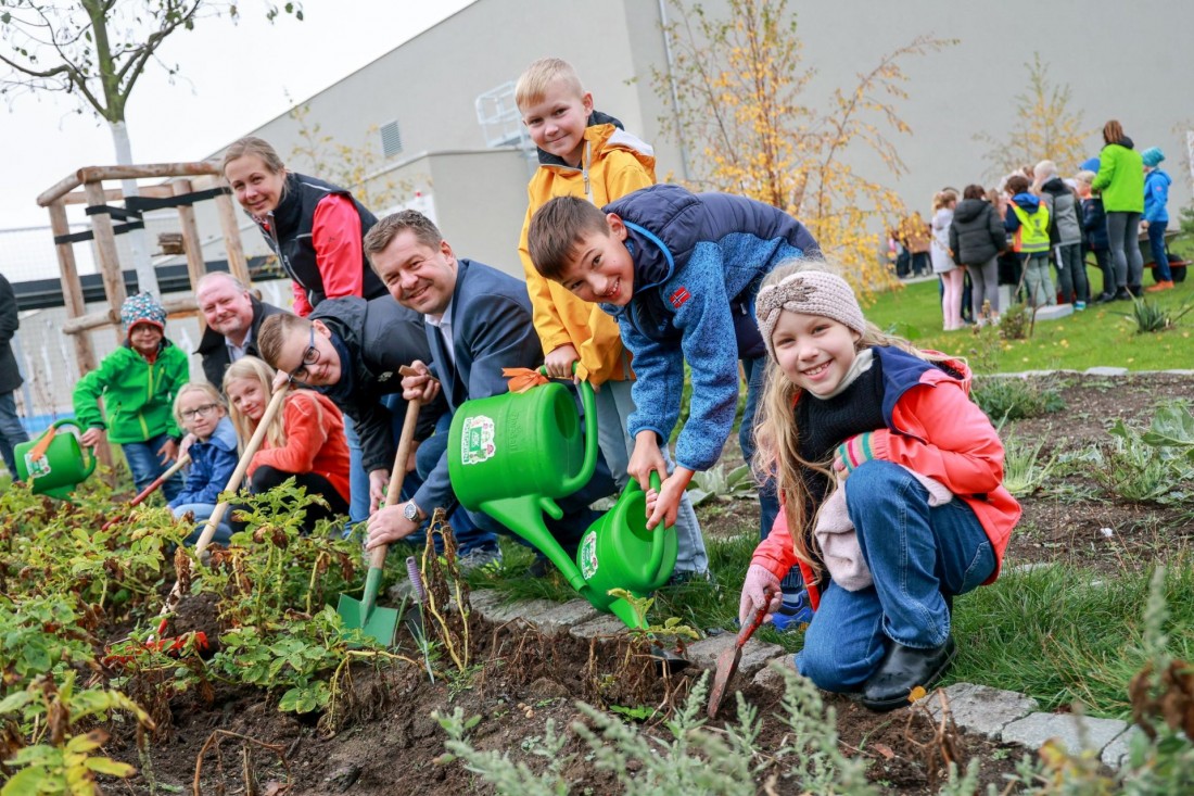 AOK Schulgarten Grundschule am Westring 