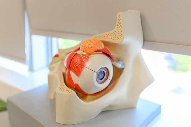 Eine Seniorin sitzt an einem Schreibtisch und reibt sich die Augen. Vor ihr steht ein Laptop.