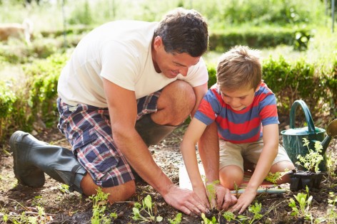 Ein Vater pflanzt mit seinem etwa 6 jährigen Sohn im Garten eine Pflanze ein.