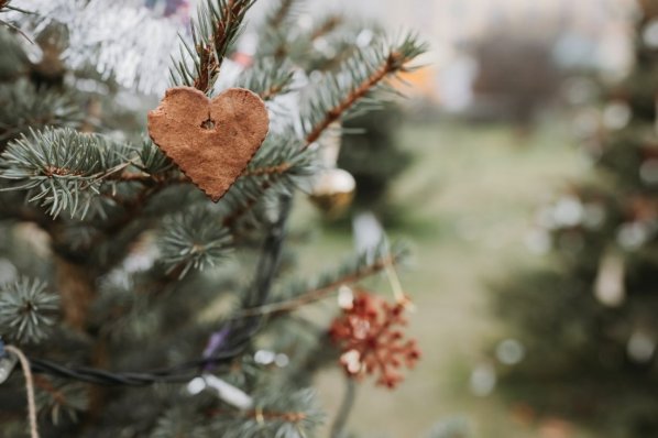 Handmade gingerbread heart shaped cookie decoration on a Christmas tree. Outdoor background without snow. Diy creative ideas for children. Environmental concept. Selective focus, copy space