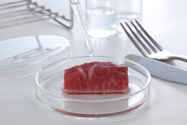 Ein Stück In-vitro-Fleisch in einer Petrischale