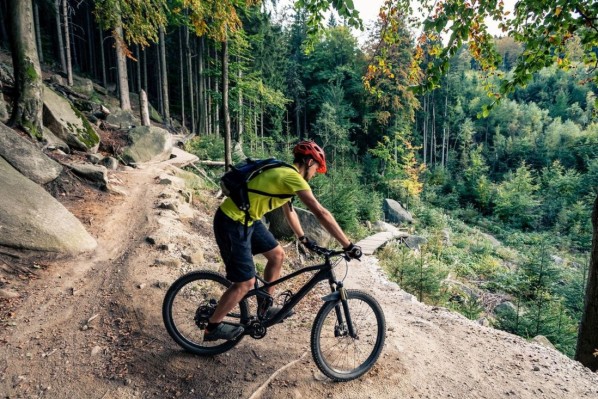 Ein Mountainbiker fährt den Harzrundweg mit seinem Fahrrad entlang.