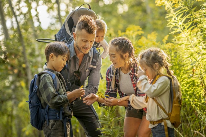 Familienvater erklärt seinen Kindern Pflanzen auf einem Waldausflug.