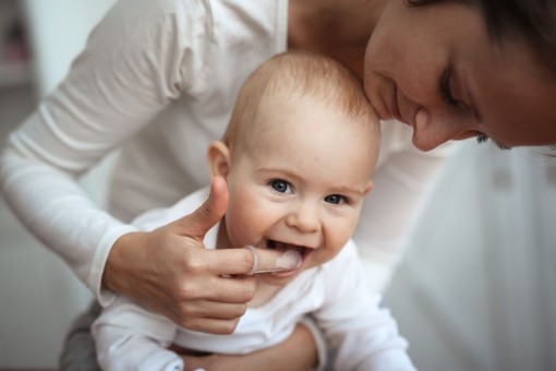 Ein etwa 1-jähriges Baby wird mit Hilfe eine Fingerlings an den Milchzähnen geputzt.