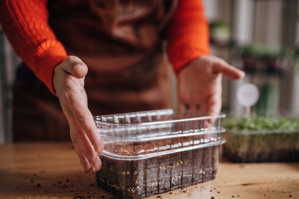 eine Schale aus Plastik zum Anbau von microgreens gefüllt mit Erde