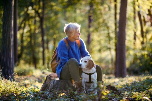 Eine Frau Mitte 50 sitzt im Wald auf einem baumstumpf. neben ihr sitzt ihr Hund