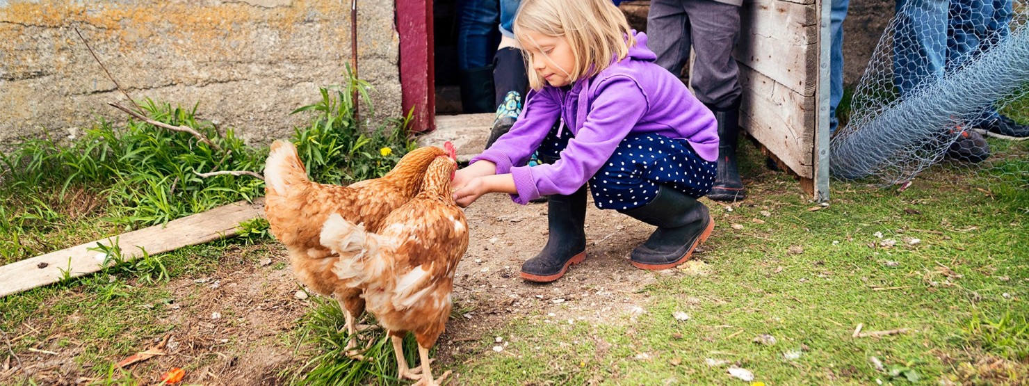 Kind füttert Huhn und ist umgeben von weiteren Kindern auf einem Bauernhof