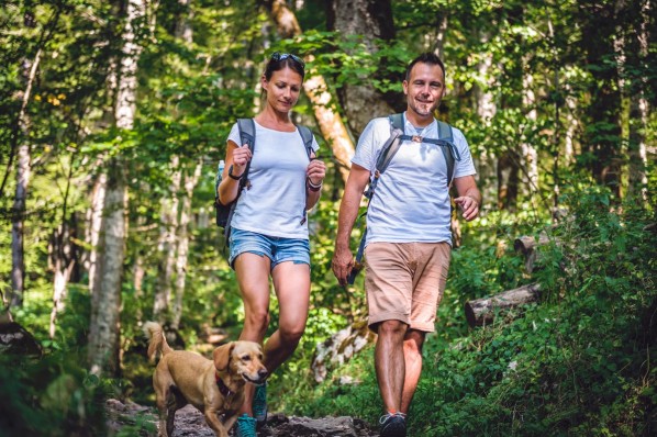 Mann, Frau und Hund wandern durch den Wald