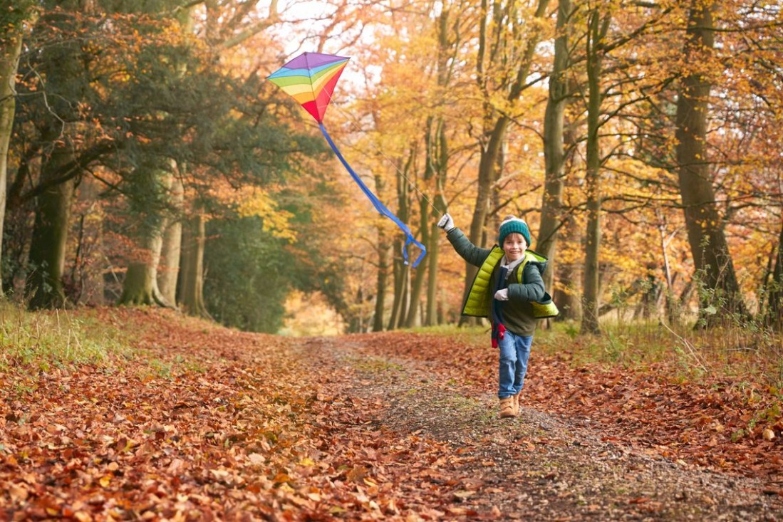 Ein etwa 3-jähriger Junge läuft an einem herbstlichen Tag mit einem Drachen durch den Wald.