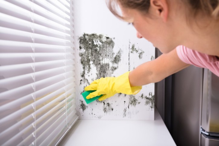 Eine Frau entfernet Schimmel am Fenster in ihrer Wohnung
