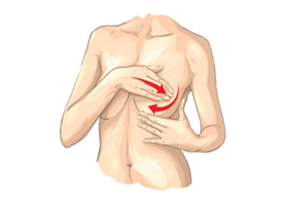 Schaubild für das korrekte Abtasten der Brustwarzen