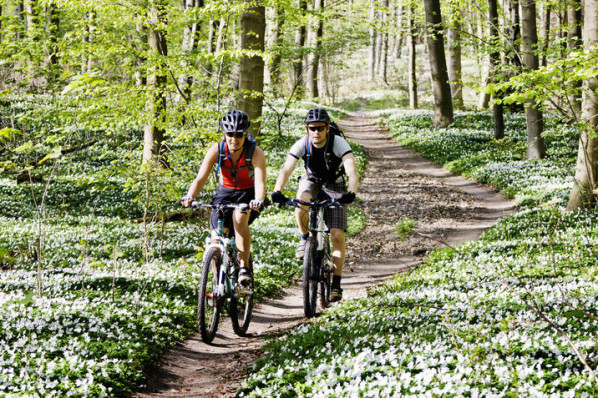 Paar fährt zusammen Mountainbike durch blühenden Wald